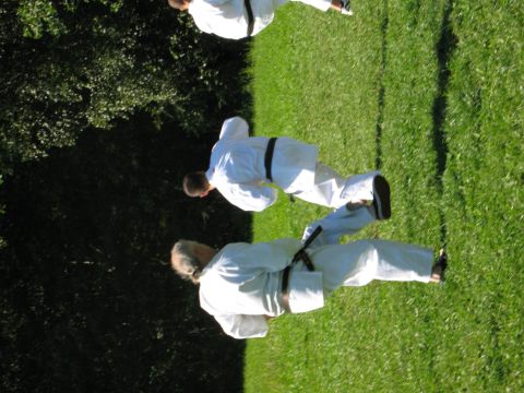 image029