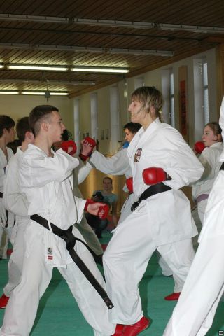 img00015